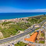 Guardamar del Segura, Alicante  Spain