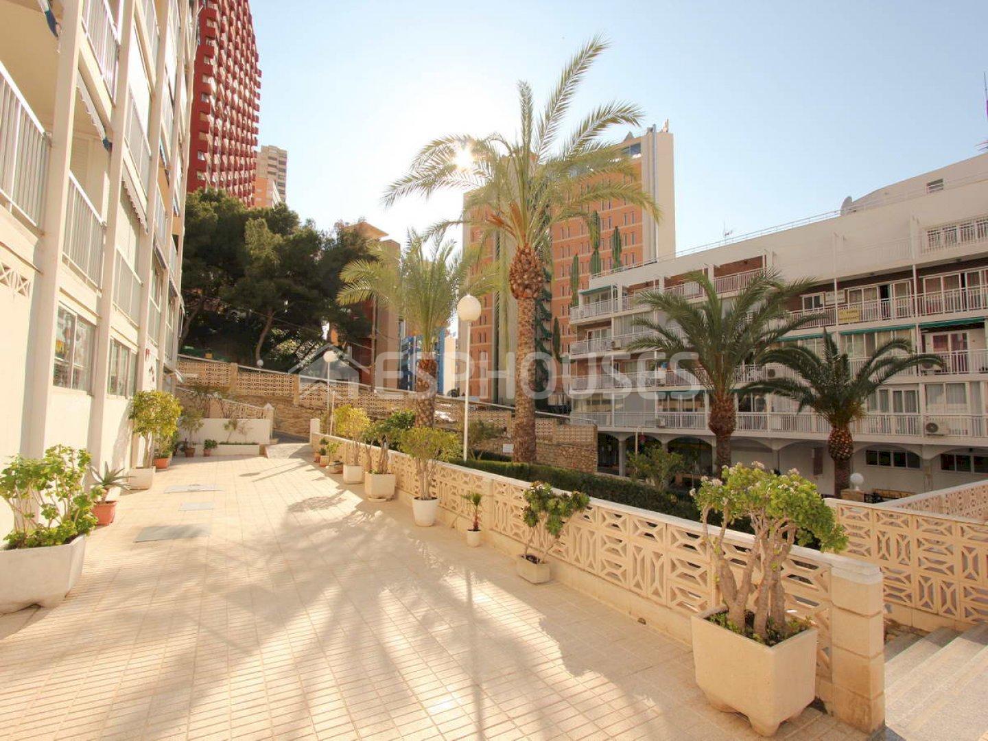 Benidorm, Alicante  Spain