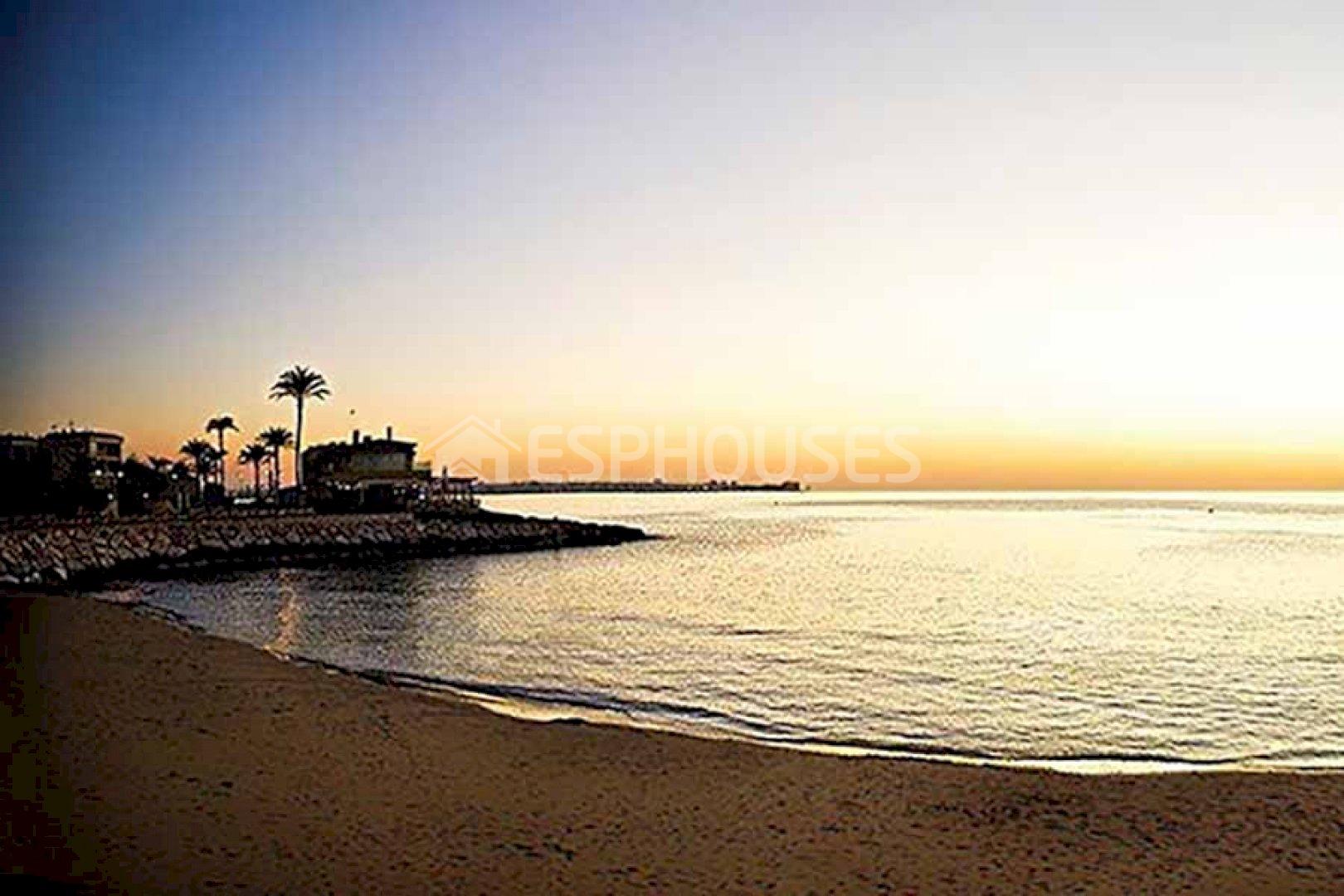 Torrevieja, Alicante  Spain