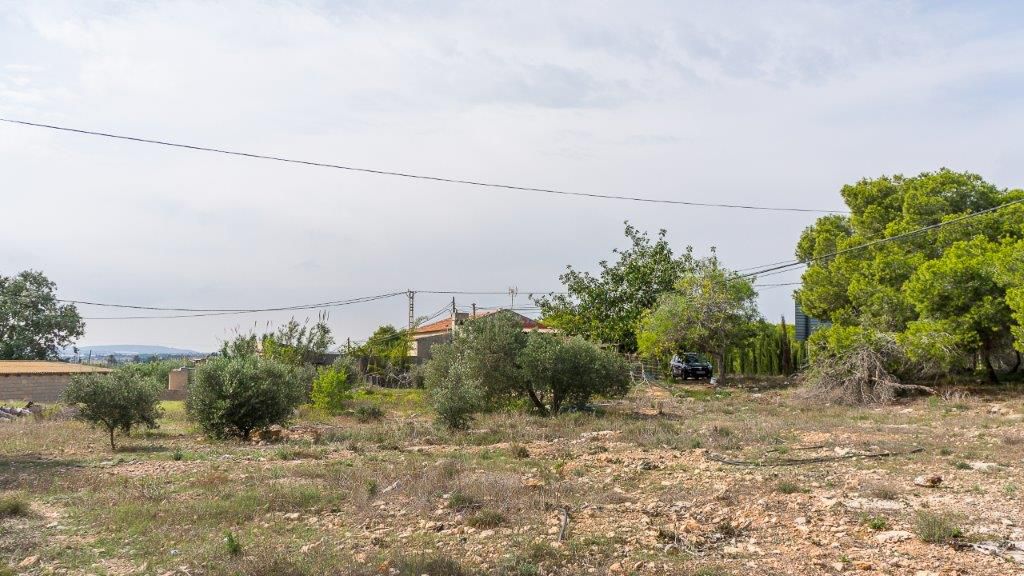 Guardamar Del Segura, Alicante  Spain