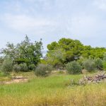 Guardamar Del Segura, Alicante  Spain