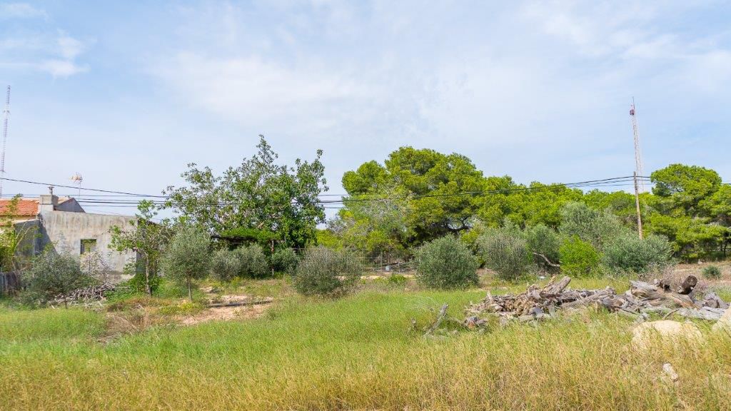 Guardamar Del Segura, Alicante  Spain