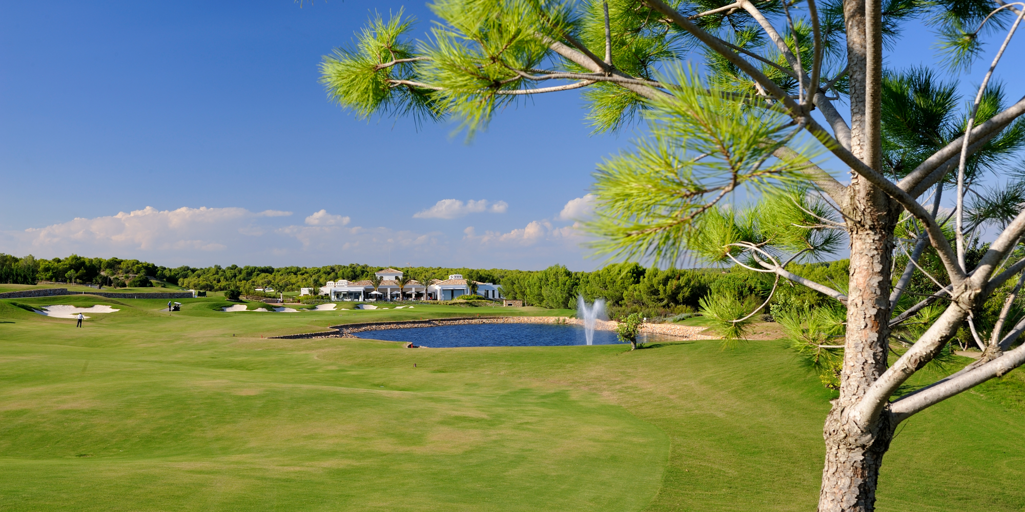 Las Colinas, Alicante  Spain