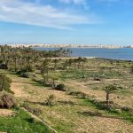 Punta prima, Alicante  Spain