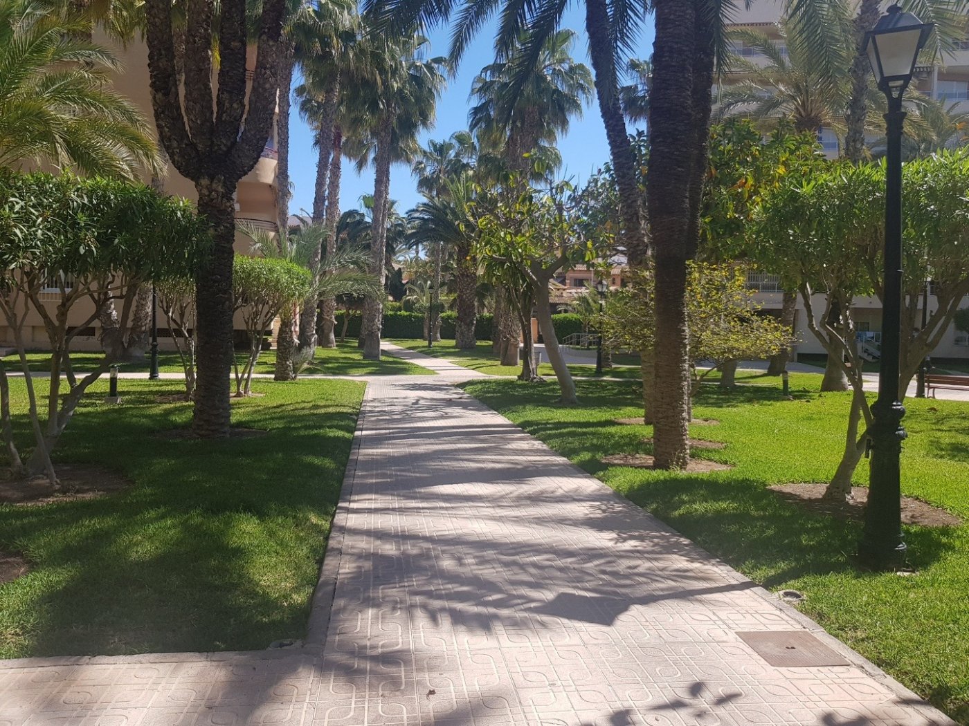 Playa de los locos, Alicante  Spain