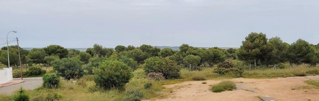 El chaparral, Alicante  Spain