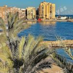 Torrevieja, Alicante  Spain