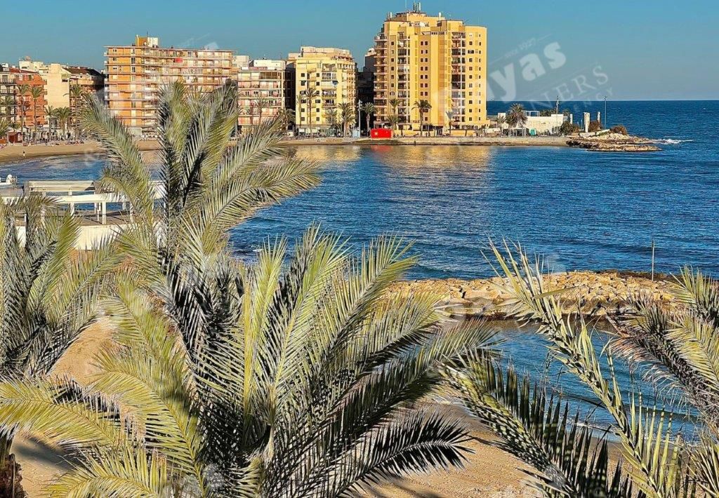 Torrevieja, Alicante  Spain