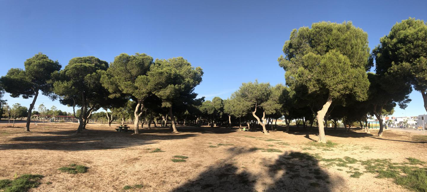 SANTIAGO DE LA RIBERA, MURCIA  Spain