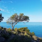 Playas Del Torres, Alicante  Spain