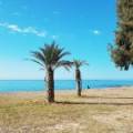 Playas Del Torres, Alicante  Spain