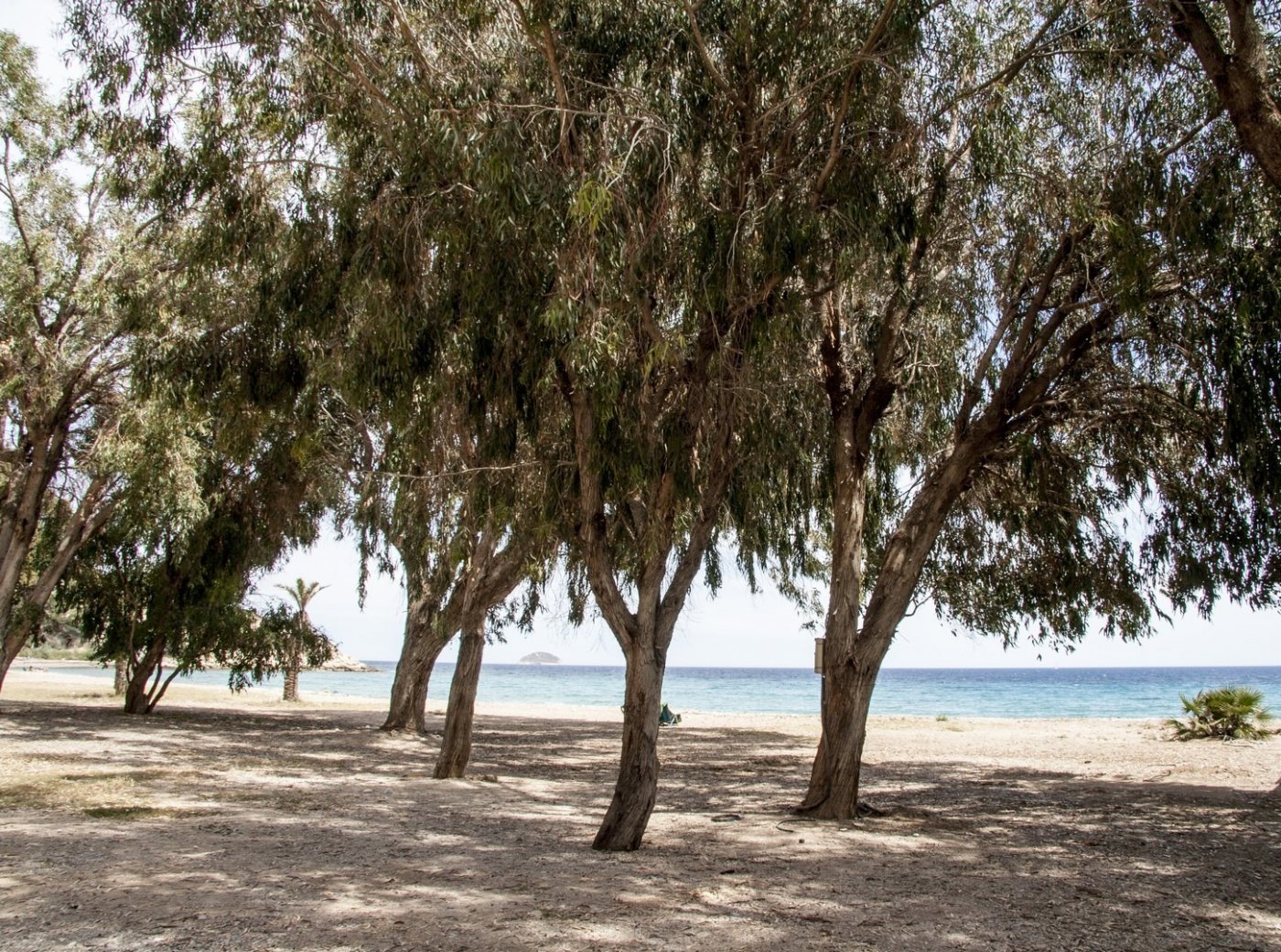 Playas Del Torres, Alicante  Spain