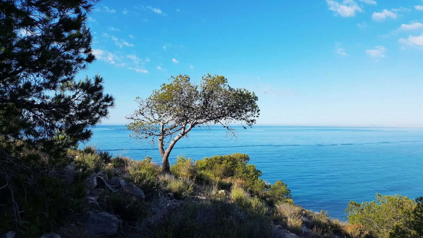 Playas Del Torres, Alicante  Spain