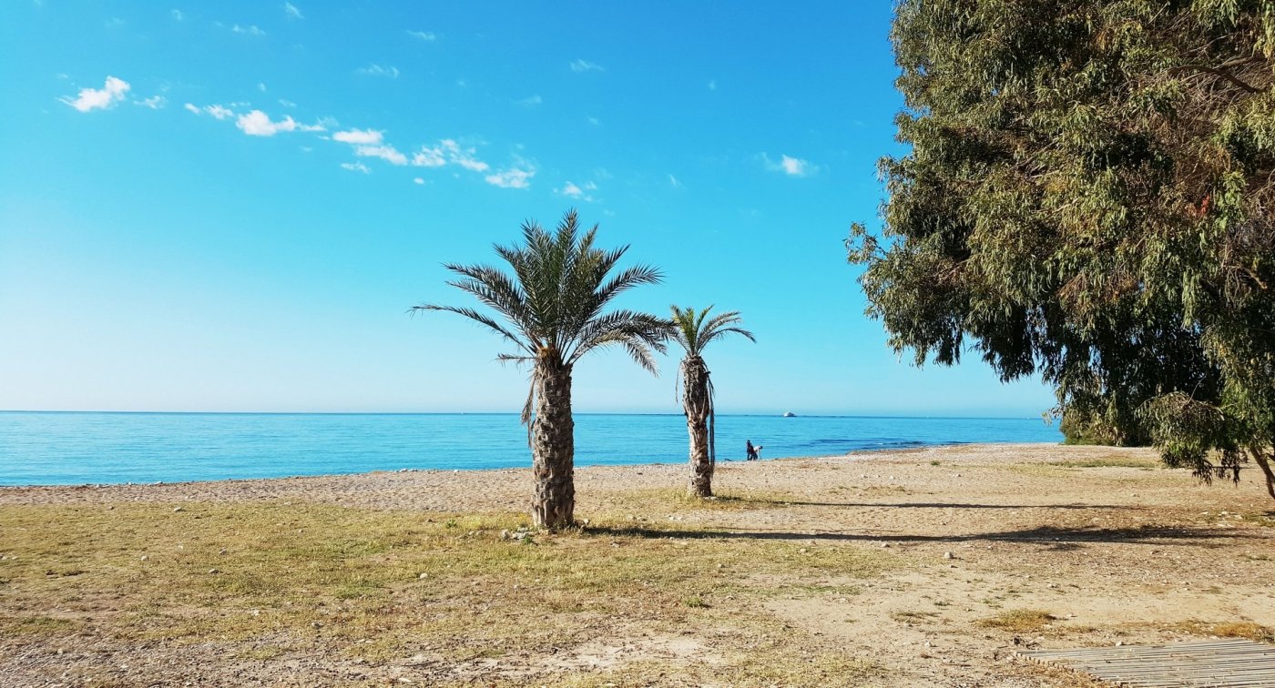 Playas Del Torres, Alicante  Spain