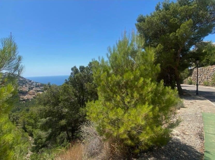 Altea Hills, Alicante  Spain