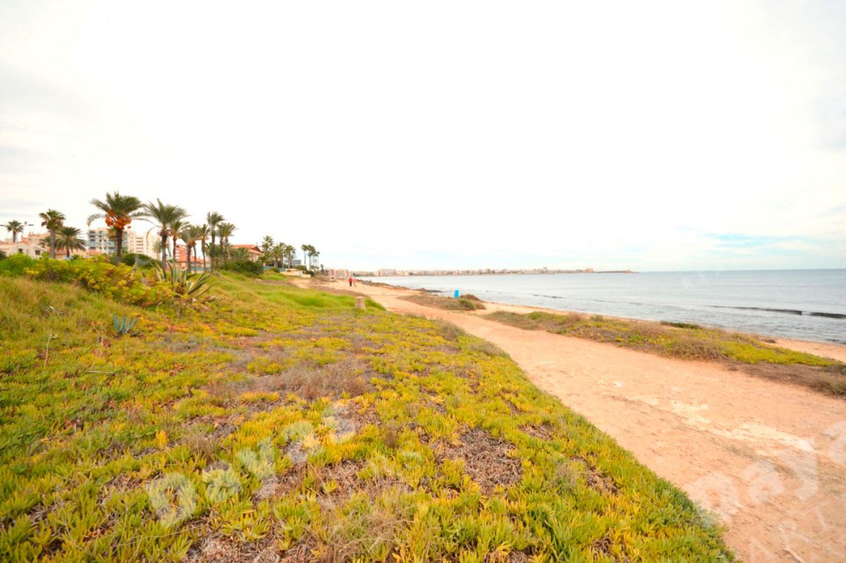 Torrevieja, Alicante  Spain