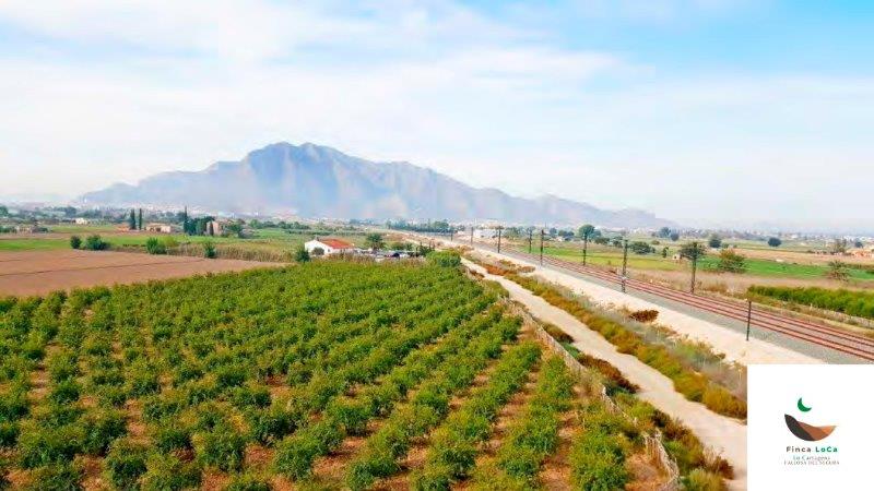 Callosa De Segura, Alicante  Spain