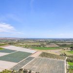 Fincas de la Vega, Alicante  Spain