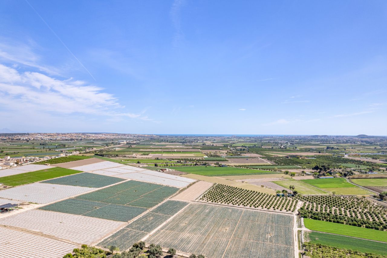 Fincas de la Vega, Alicante  Spain