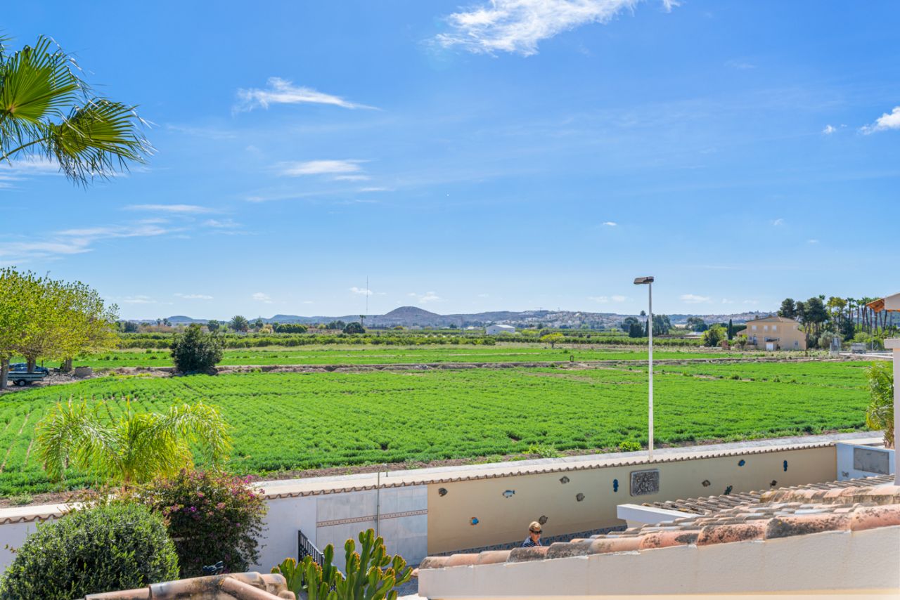 Fincas de la Vega, Alicante  Spain