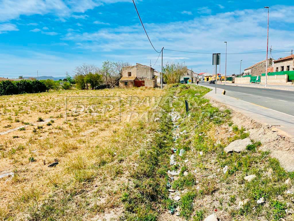 Orihuela, Alicante  Spain