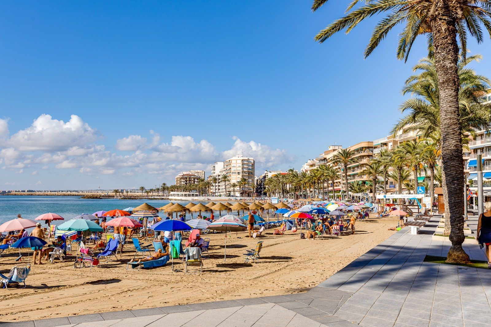 Habaneras, Alicante  Spain