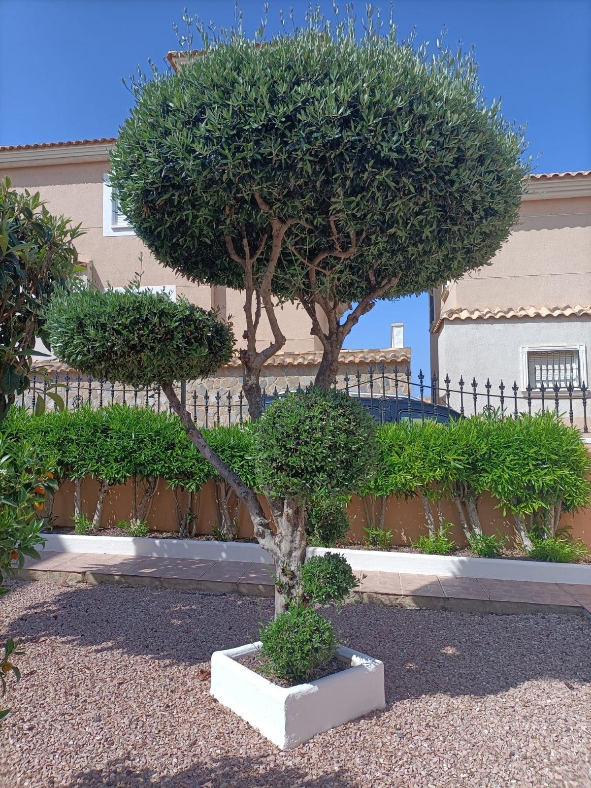 La Ceñuela, Alicante  Spain