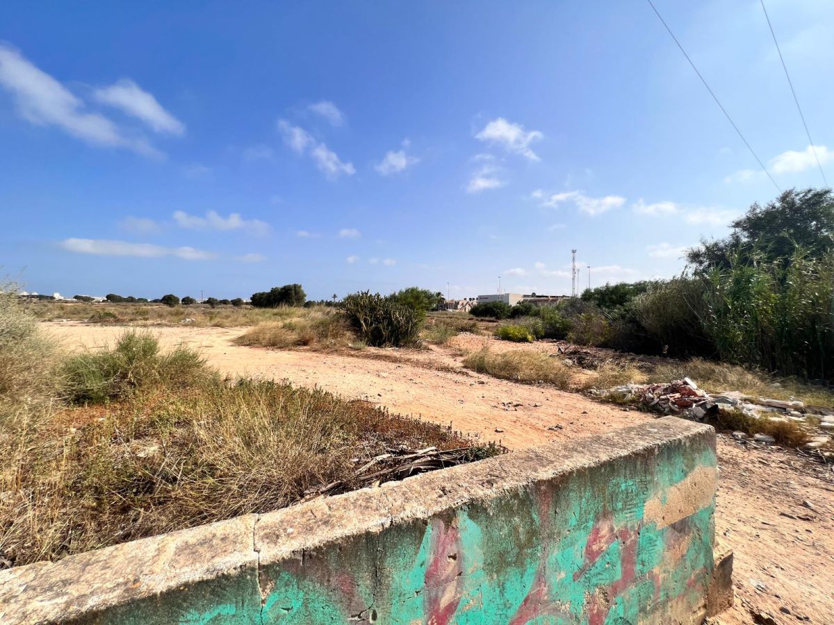 Torrevieja, Alicante  Spain