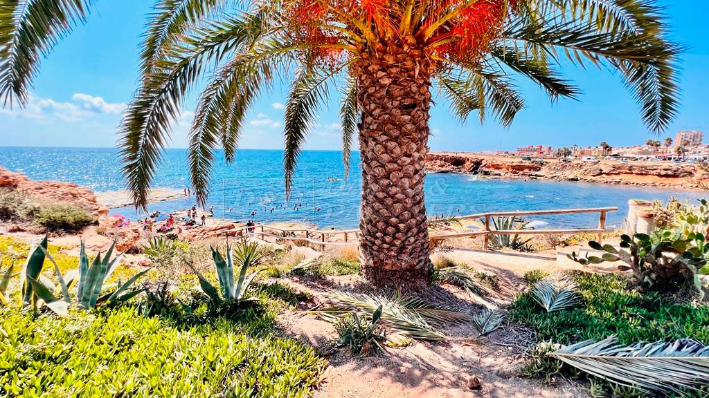 Torrevieja, Alicante  Spain