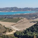 Orihuela, Alicante  Spain