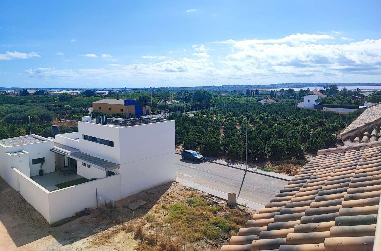 Ayuntamiento, Alicante  Spain