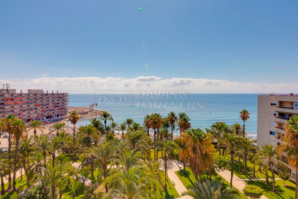 Torrevieja, Alicante  Spain