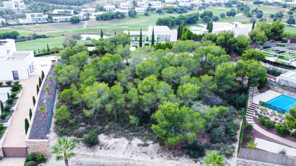 Las Colinas, Alicante  Spain