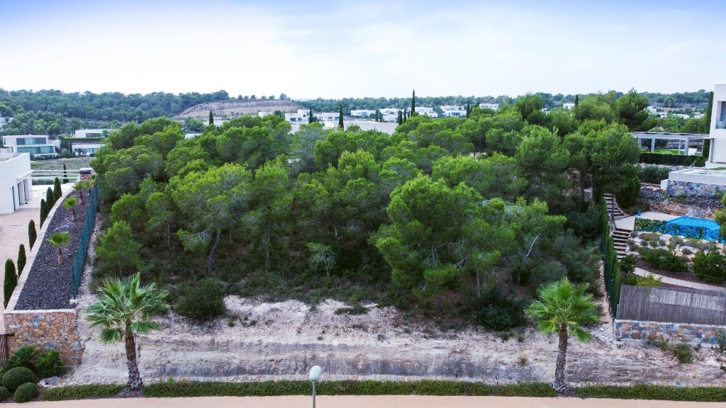 Las Colinas, Alicante  Spain