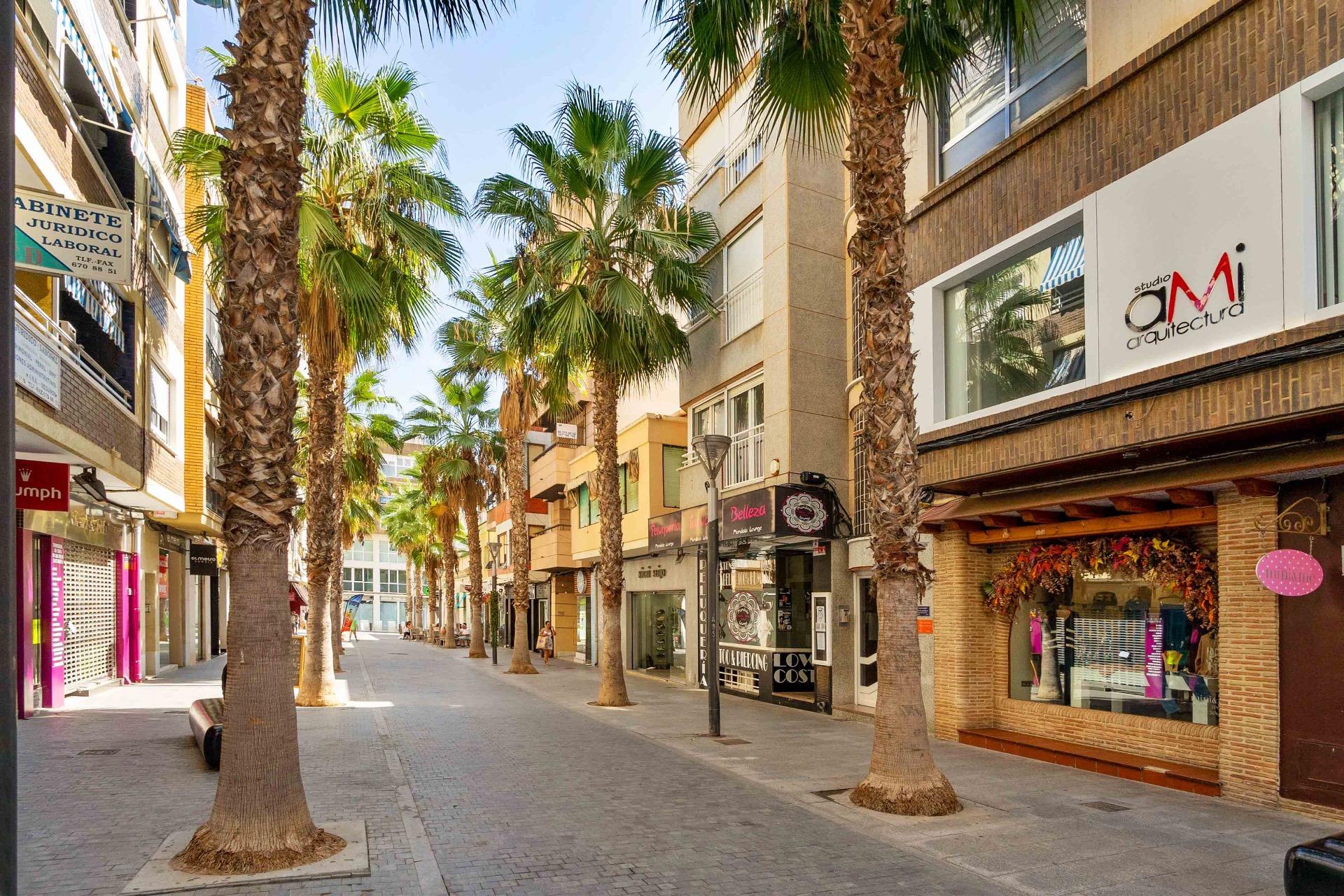 Centro, Alicante  Spain