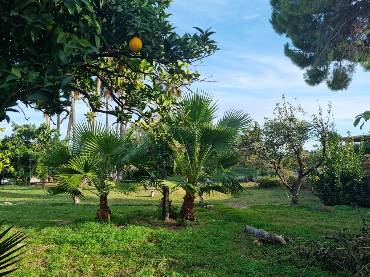 , Málaga  Spain