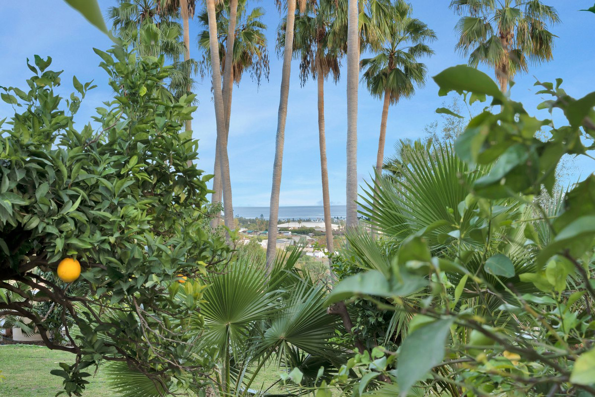 , Málaga  Spain