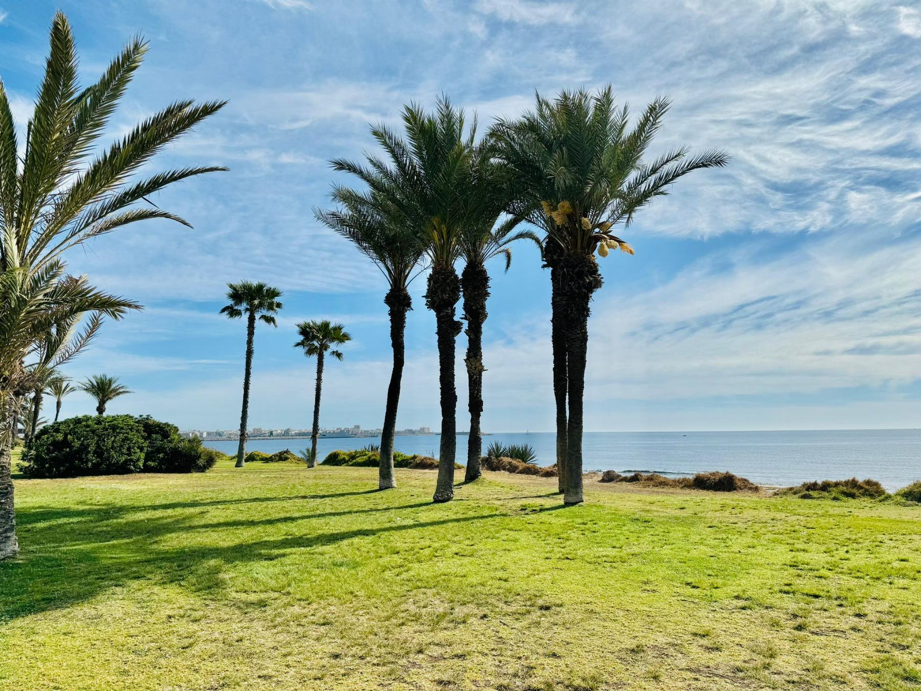 Torrevieja, Alicante  Spain