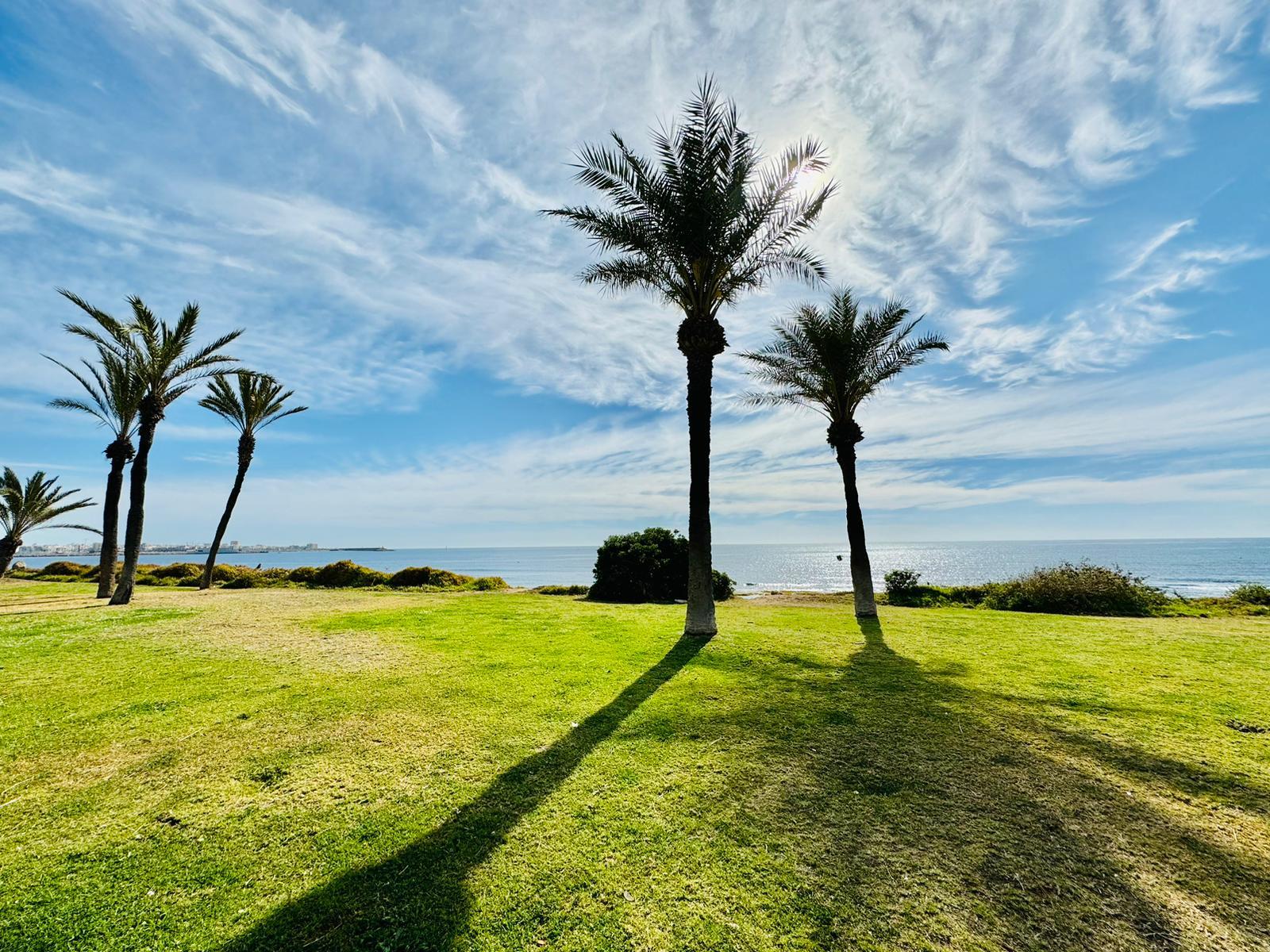 Torrevieja, Alicante  Spain