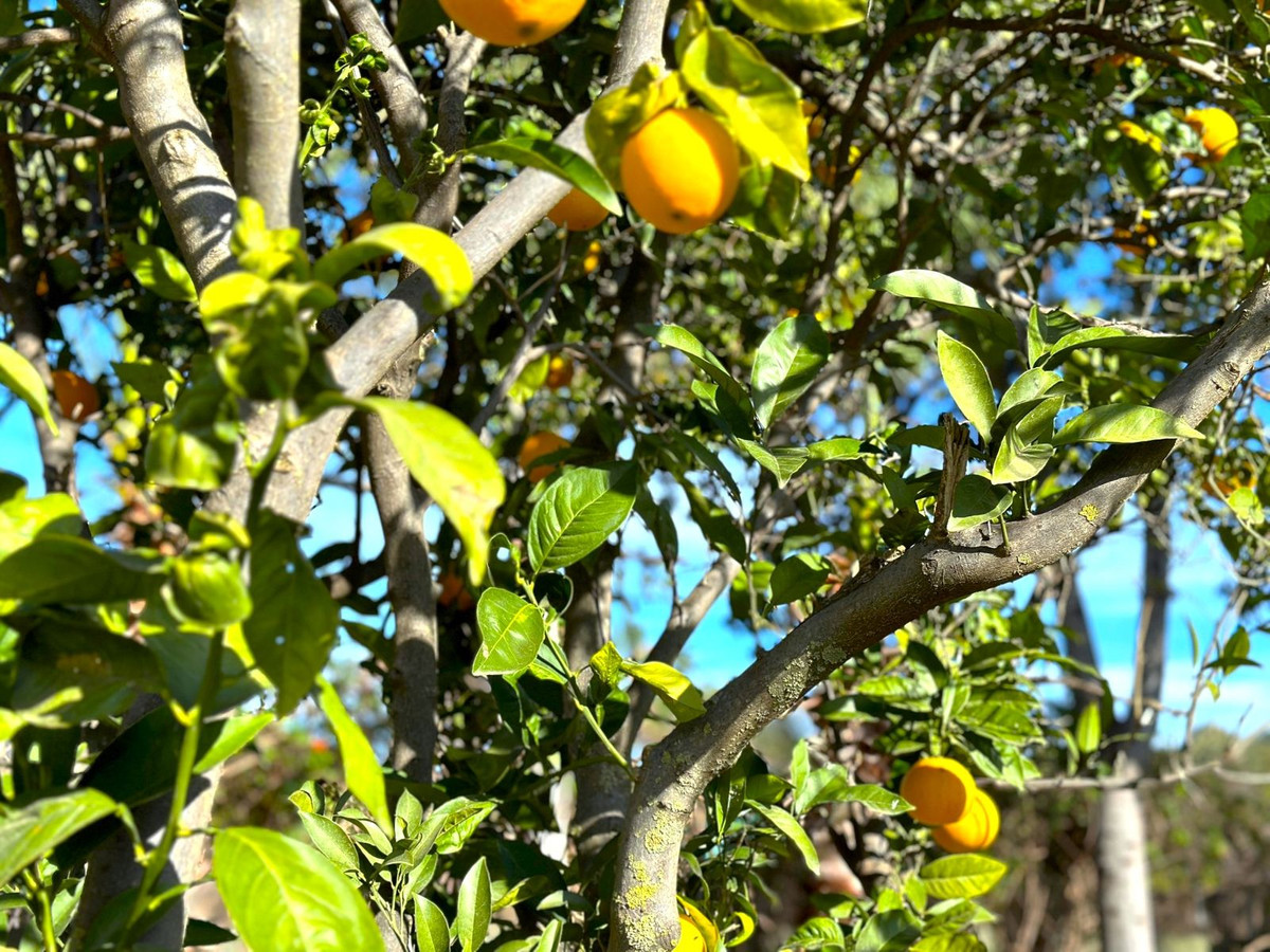 , Málaga  Spain