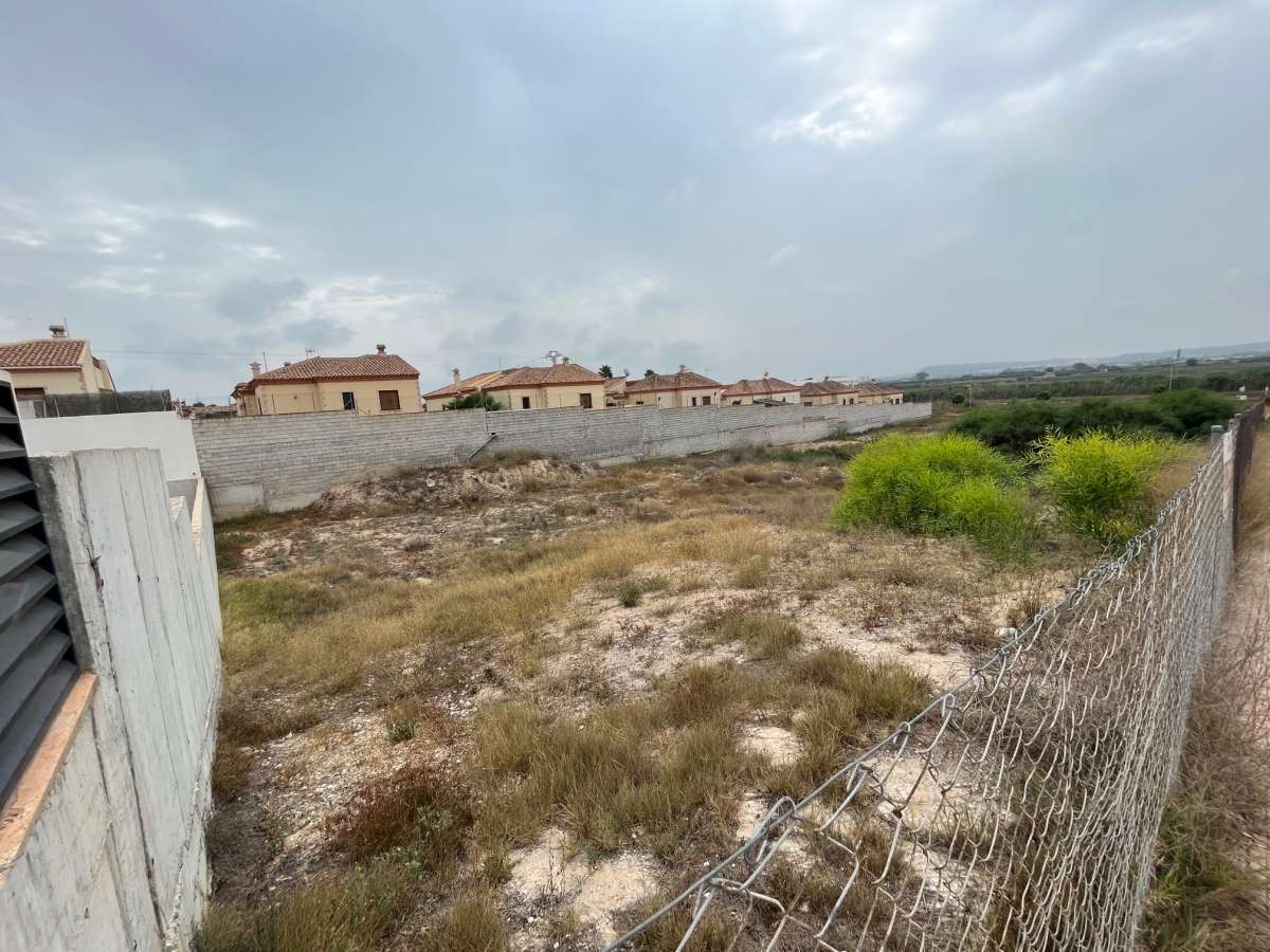 San Fulgencio, Alicante  Spain