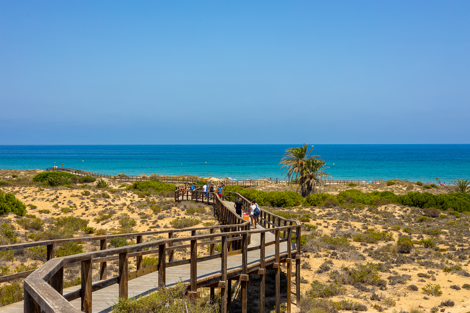 Elche, ALICANTE / COSTA BLANCA  Spain