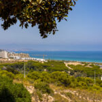 Elche, ALICANTE / COSTA BLANCA  Spain