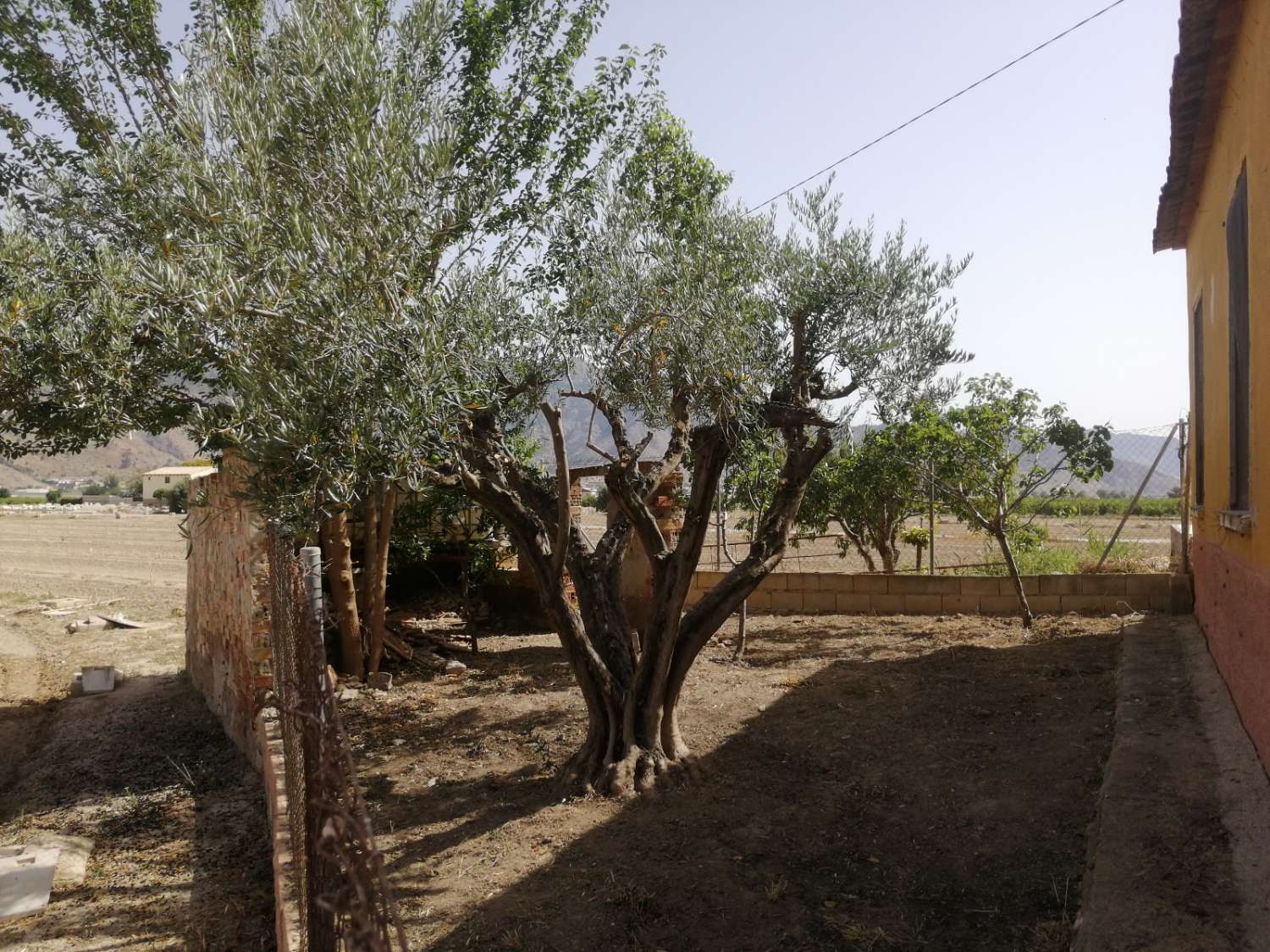 Orihuela, Alicante  Spain