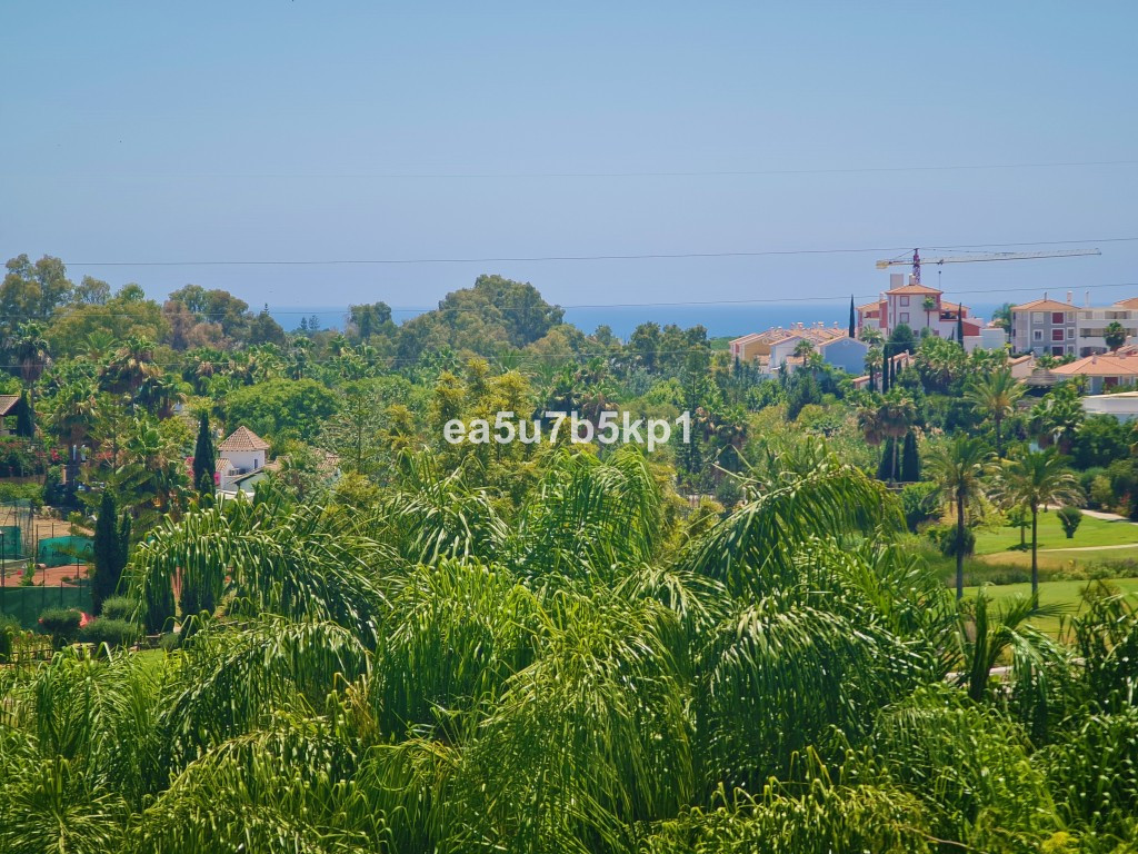 , Málaga  Spain