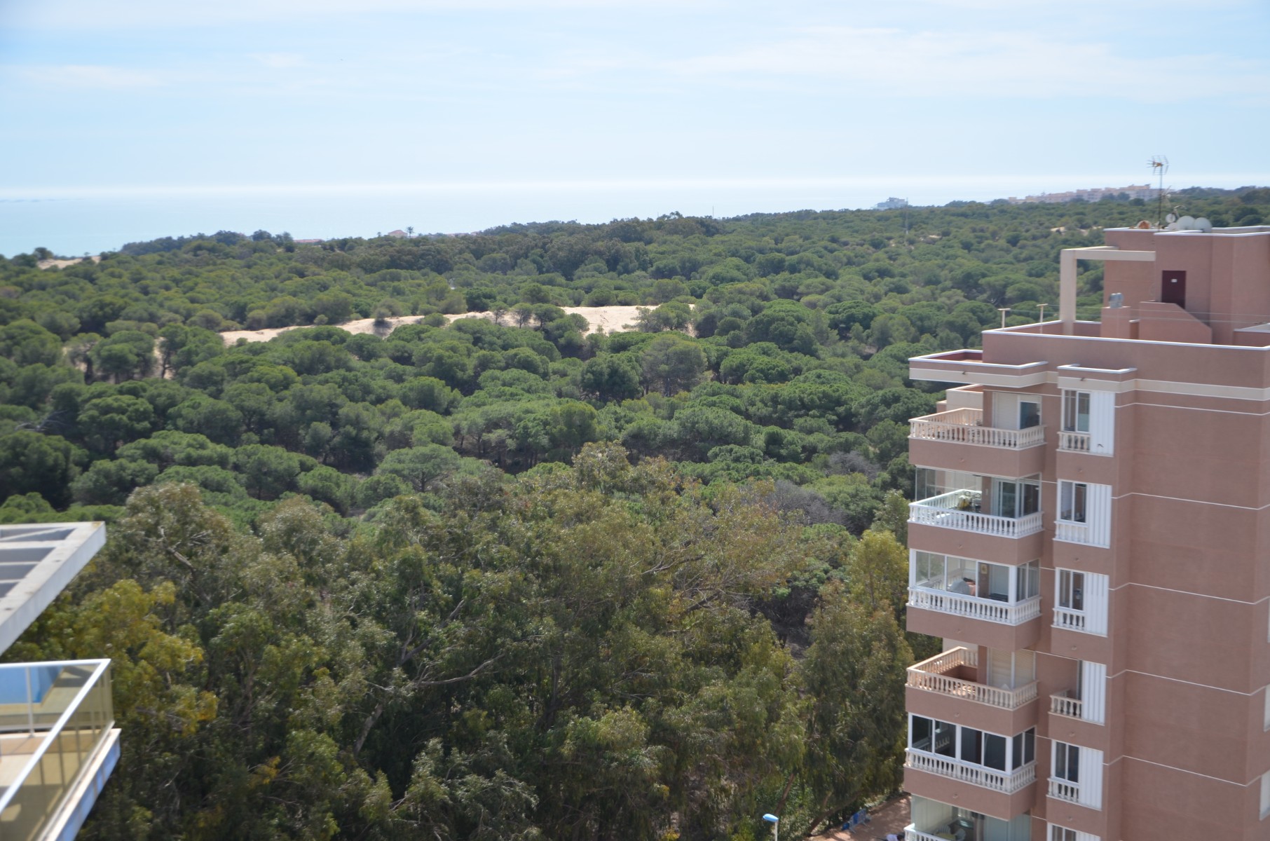 Guardamar del Segura, Alicante  Spain