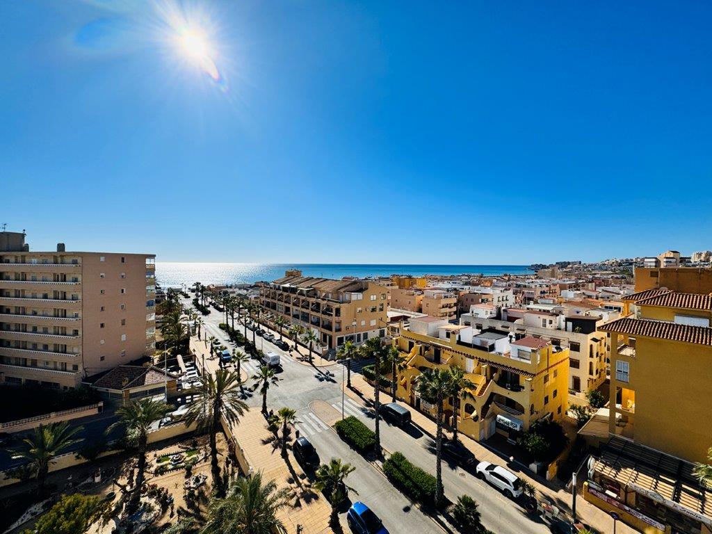 Los Europeos, Alicante  Spain