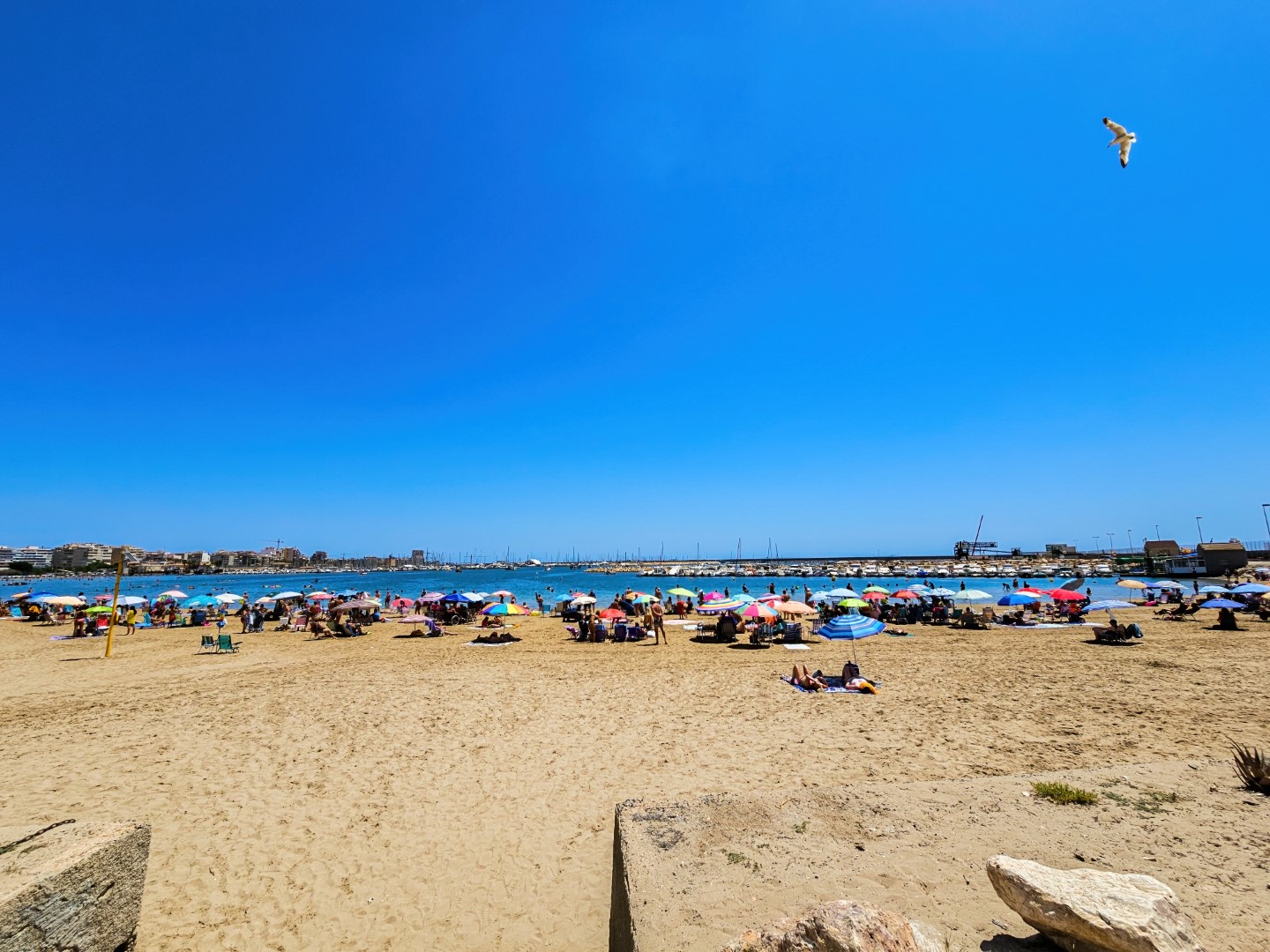 El Acequión - Los Naúfragos, Alicante  Spain