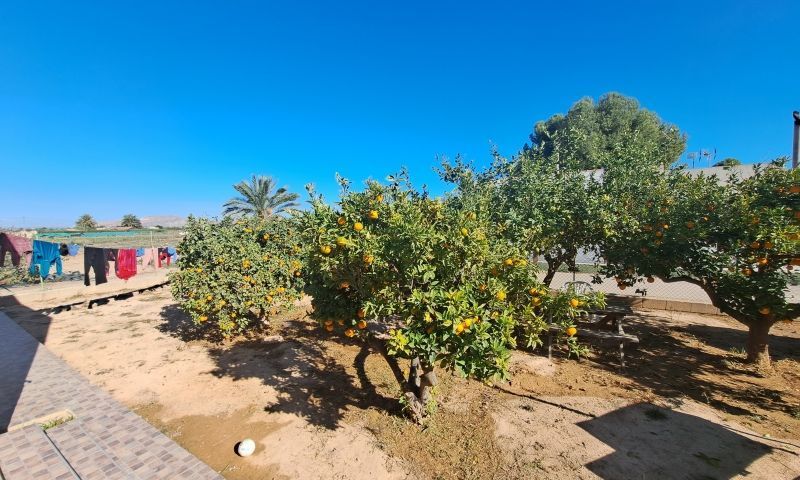 Torre Pacheco, Murcia  Spain