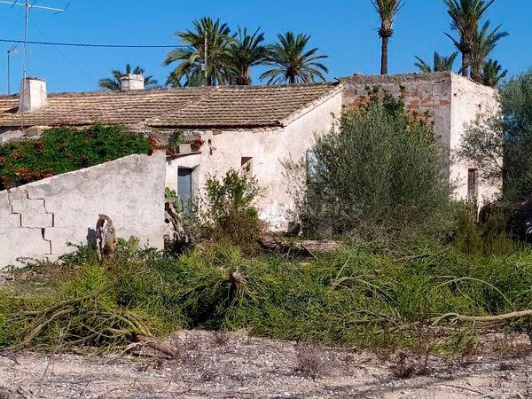 Elche, Alicante  Spain